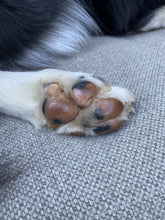 Load image into Gallery viewer, Vegan Puppy Paw Salve