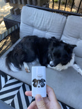 Load image into Gallery viewer, Vegan Puppy Paw Salve