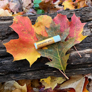 Vegan Pumpkin Spice Lip Balm