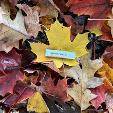Load image into Gallery viewer, Vanilla Bean Lip Balm
